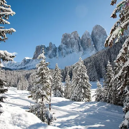 Lejlighed Jaiterhof Funes (Bolzano)